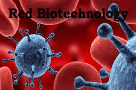 Medical Biotechnology